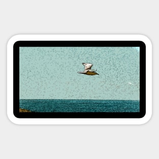 bird over the sea Sticker